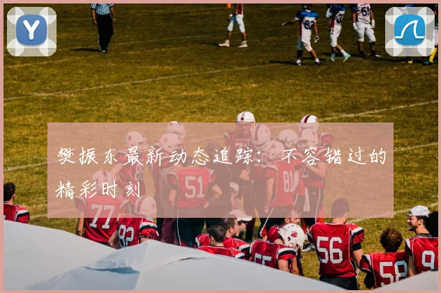 樊振东最新动态追踪:不容错过的精彩时刻