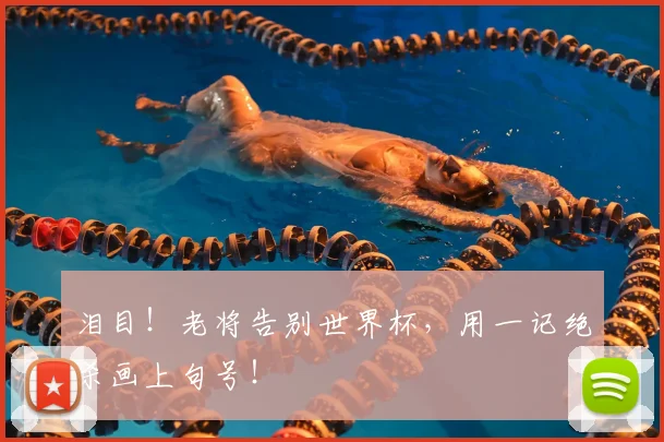 泪目！老将告别世界杯，用一记绝杀画上句号！