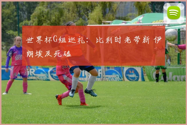 世界杯G组巡礼：比利时老带新 伊朗埃及死磕