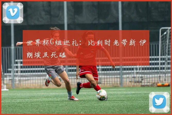 世界杯G组巡礼：比利时老带新 伊朗埃及死磕