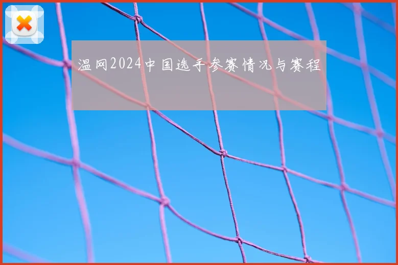 温网2024中国选手参赛情况与赛程