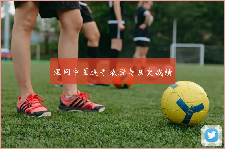 温网中国选手表现与历史战绩