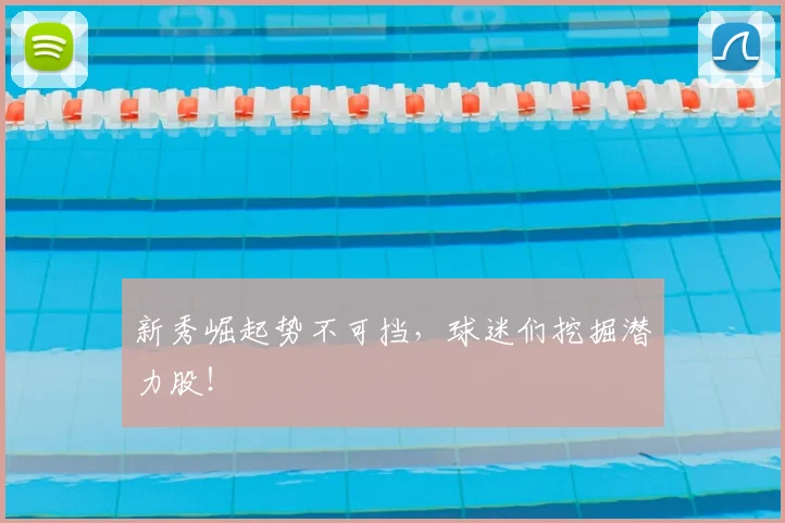 新秀崛起势不可挡，球迷们挖掘潜力股！