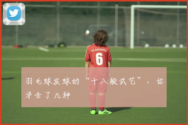 羽毛球发球的“十八般武艺”,你学会了几种